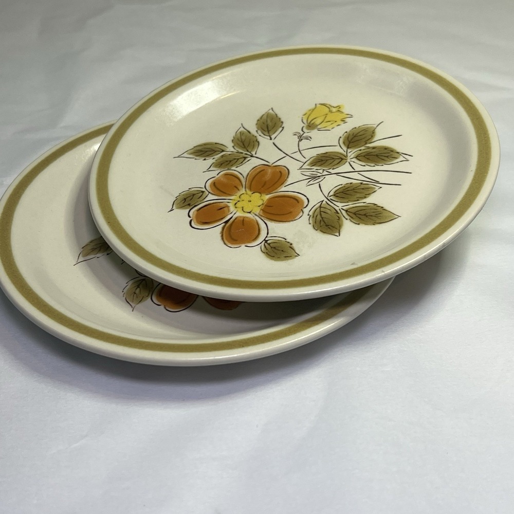Vintage Collectible Wild Flower Japan Plate Stoneware Small Side Plate‎ Set Of 2